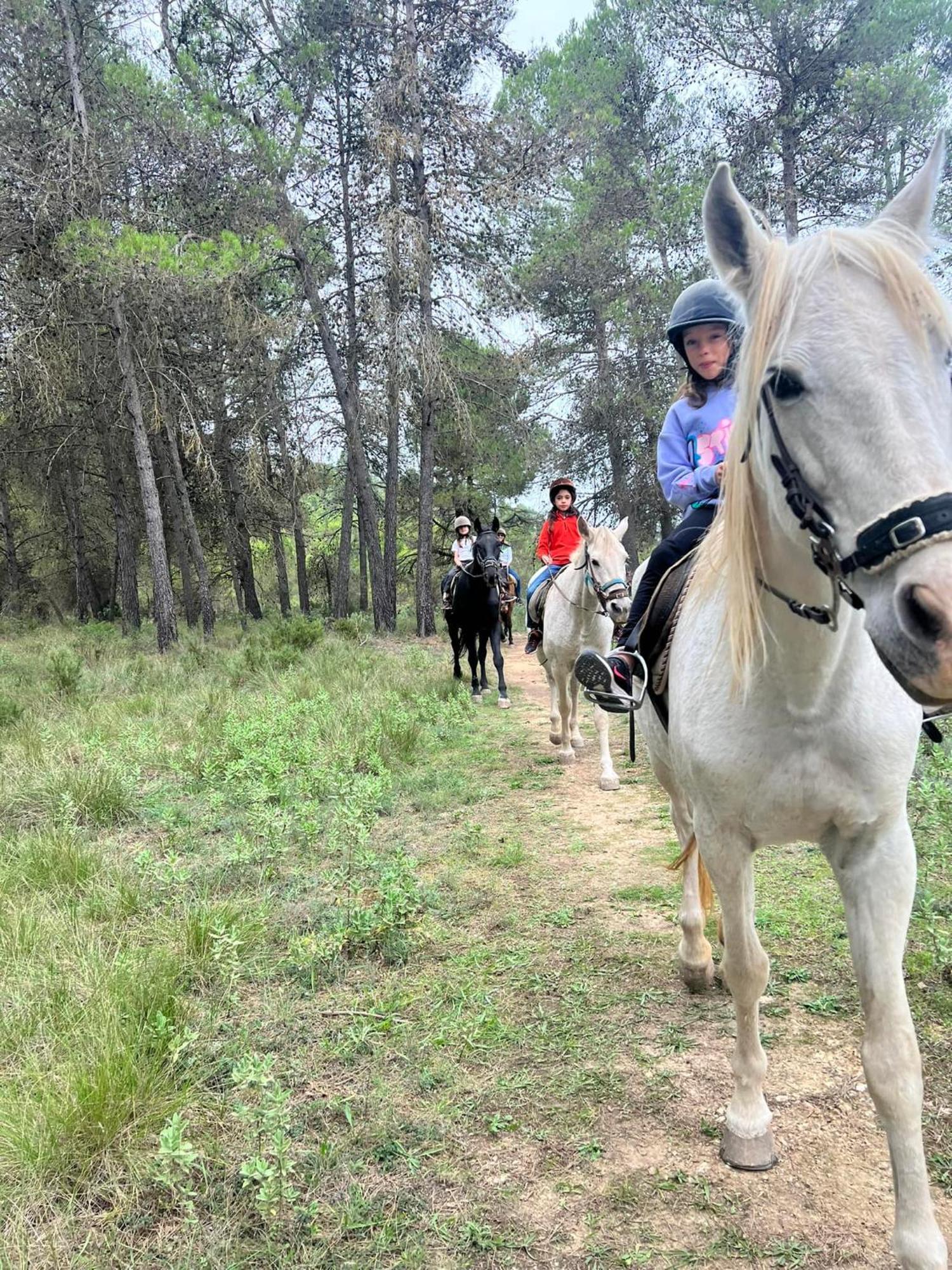 Riera Dagres Relax Rural Grupos Pansiyon Dış mekan fotoğraf